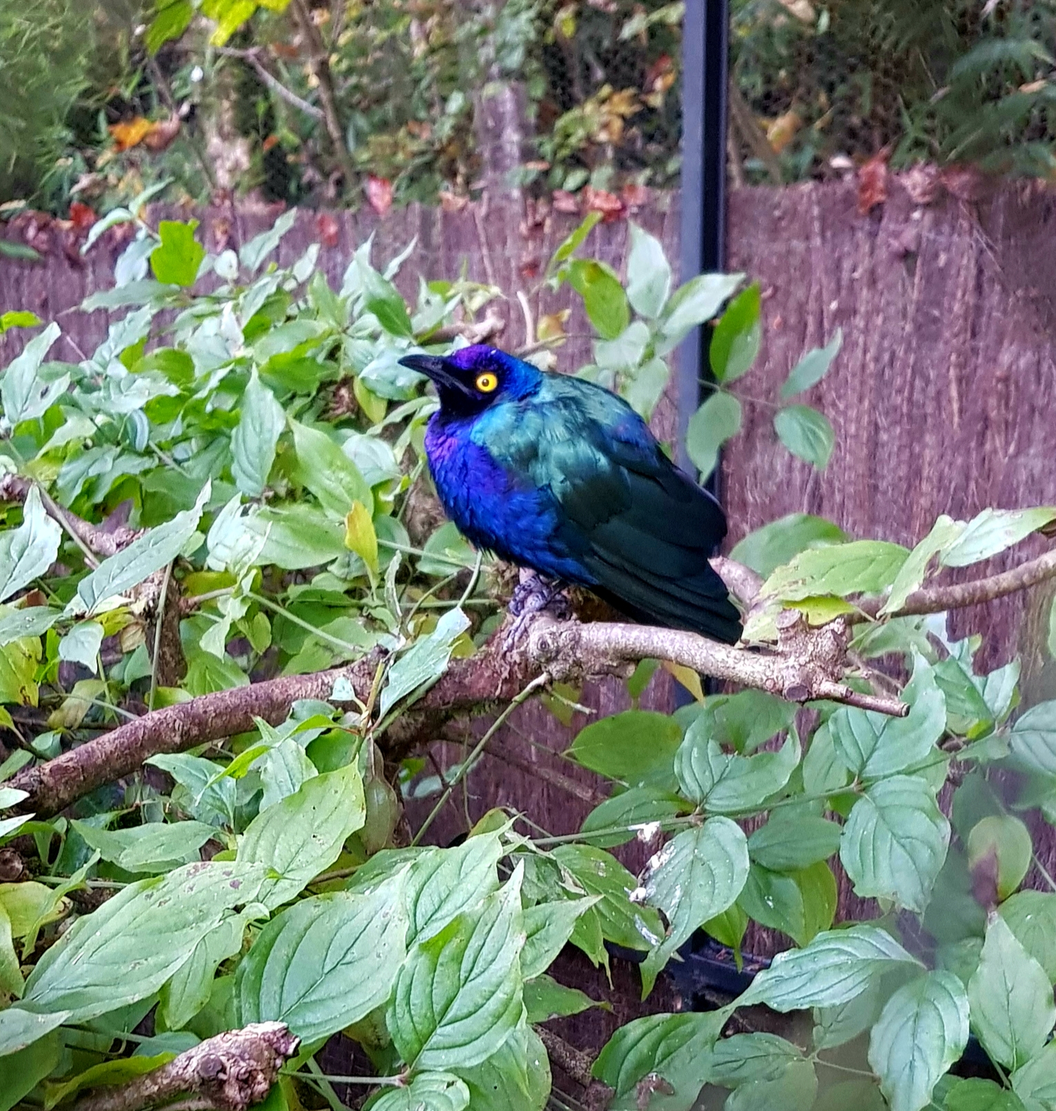 Photo n° 11 de l'avis de Morglaz.c fait le 10/11/2021 à 10:42