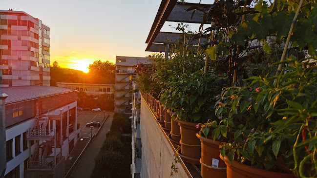 Rezensionen über WGwaltstetten in Zürich - Bar