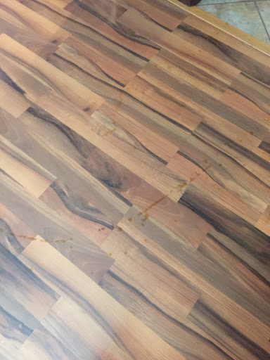 Appliance Store «Sears Home Appliance Showroom», reviews and photos, 26914 Interstate 45 N, Spring, TX 77386, USA