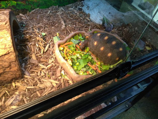 Pet Store «Wet Pet & Reptile Center», reviews and photos, 429 Eastern Blvd, Essex, MD 21221, USA