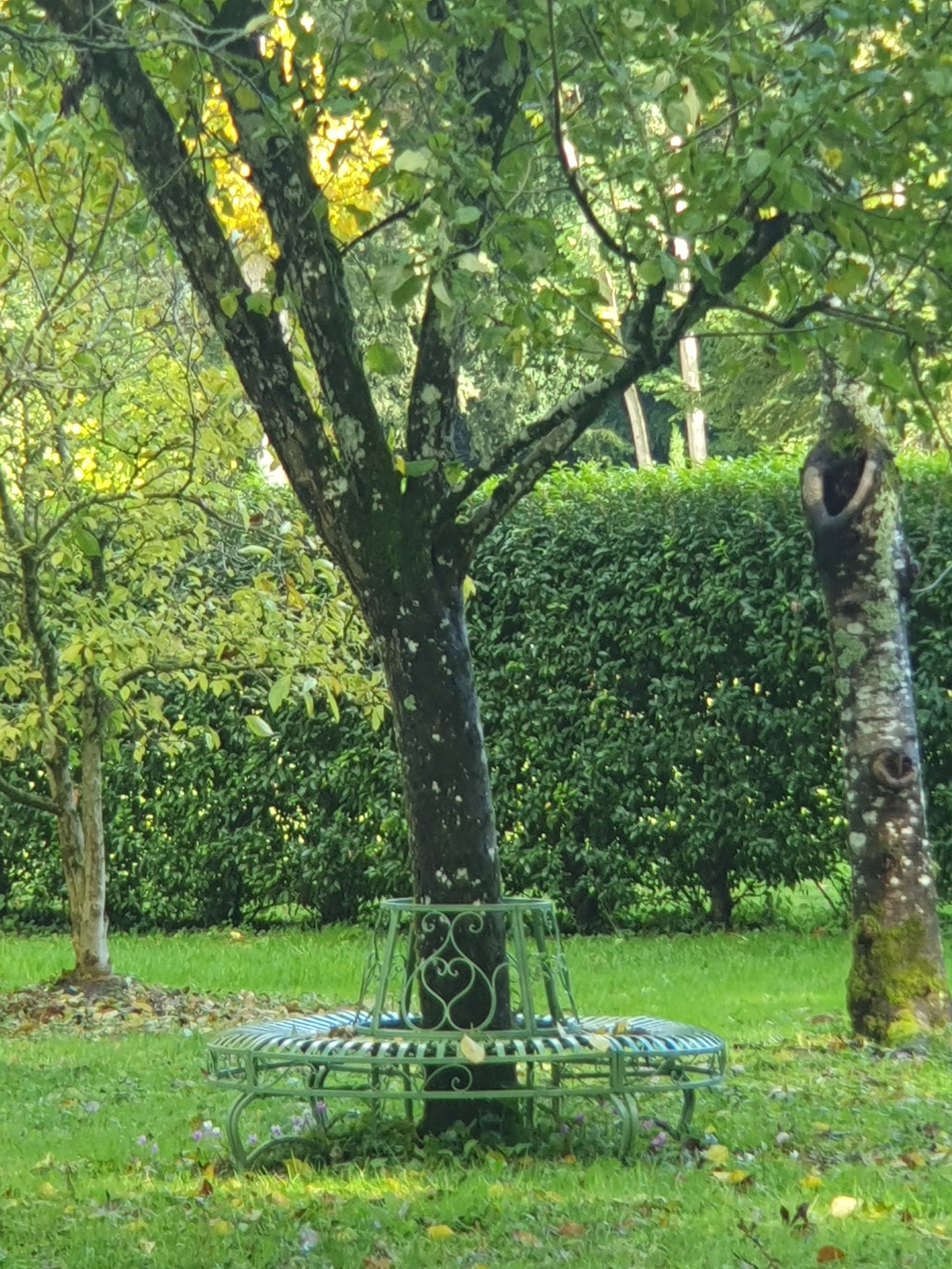 Photo n° 5 de l'avis de Valérie.a fait le 29/10/2023 à 05:20