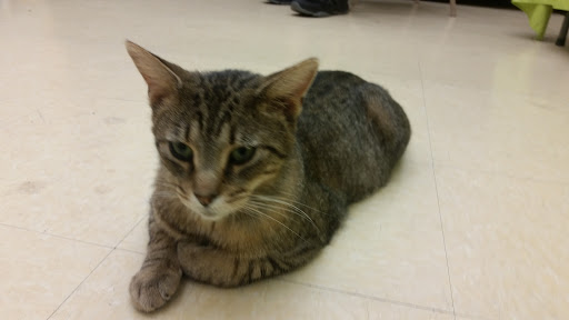 Pet Supply Store «Pet Supplies Plus», reviews and photos, 311 Sagamore Pkwy N, Lafayette, IN 47904, USA