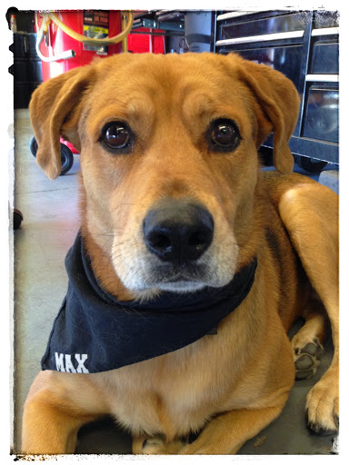 Auto Tune Up Service «Max Automotive», reviews and photos, 13431 W Westgate Dr #102, Surprise, AZ 85378, USA