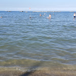 Photo n°1 de l'avis de Radu.A fait le 23/06/2019 à 16:21 sur le  Lido Hotel Residence à Cesenatico