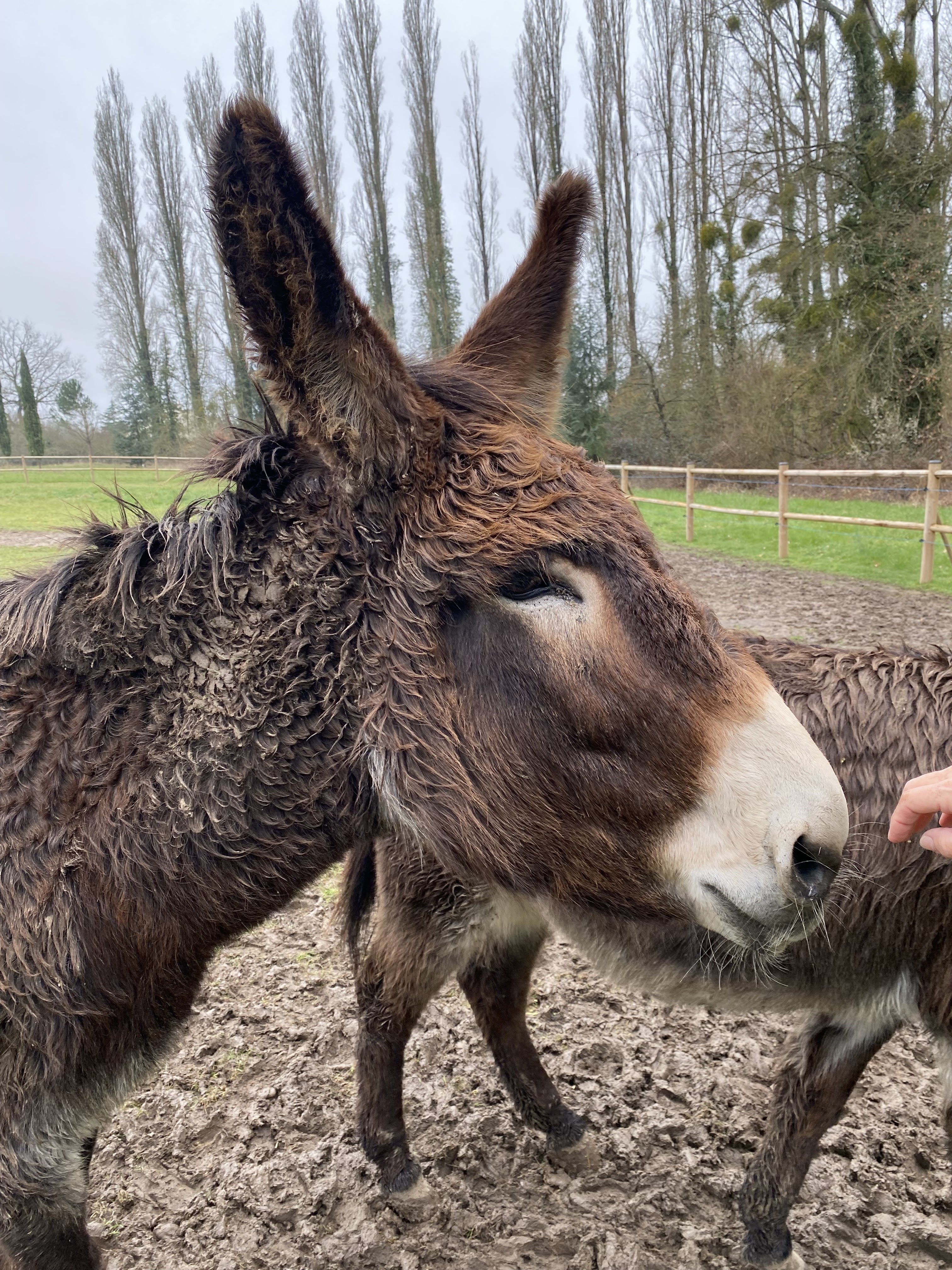 Photo n° 8 de l'avis de Sam.o fait le 23/04/2023 à 02:08