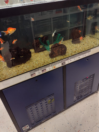 Pet Supply Store «Petco Animal Supplies», reviews and photos, 3680 Spencer Hwy, Pasadena, TX 77504, USA