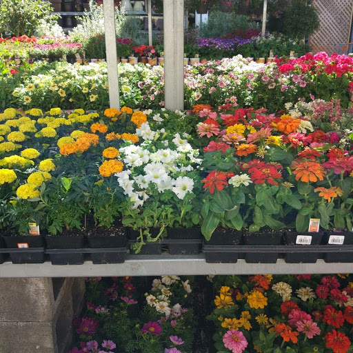 Home Improvement Store «The Home Depot», reviews and photos, 6200 Irvine Blvd, Irvine, CA 92620, USA