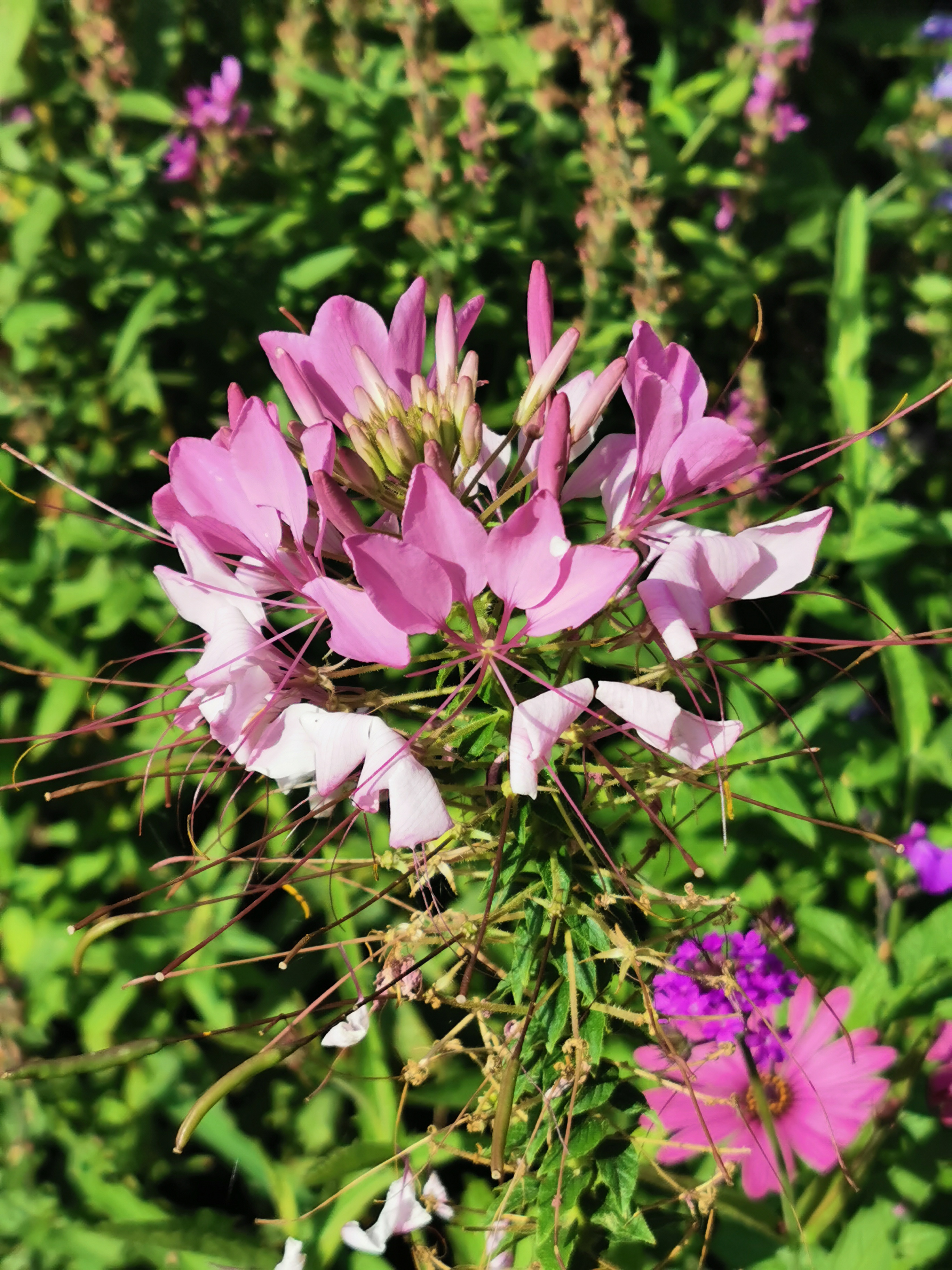 Photo n° 7 de l'avis de Sylvie.a fait le 22/08/2023 à 18:08