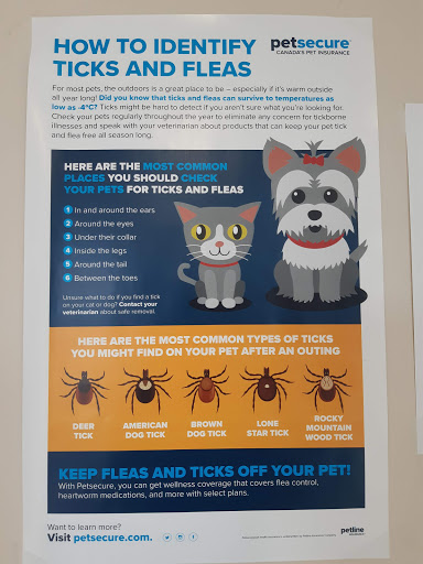 Islandview Veterinary Hospital image