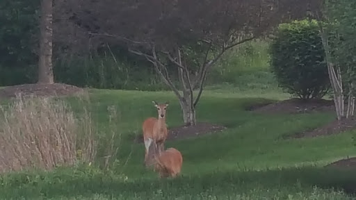 Park «Heritage Oaks Park», reviews and photos, 310 N Fairfield Rd, Hawthorn Woods, IL 60047, USA