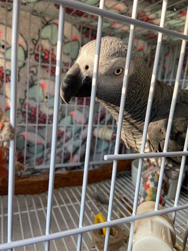 Amherst Veterinary Clinic image