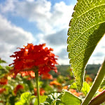 Photo n°4 de l'avis de Bruna.h fait le 05/06/2023 à 10:13 sur le  Hotel Vila Galé Sintra à Sintra