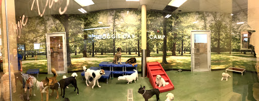 Pet Supply Store «PetSmart», reviews and photos, 2221 Oakton St, Evanston, IL 60202, USA