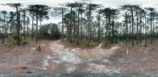 National Forest «Tuskegee National Forest», reviews and photos, 125 National Forest Rd 949, Tuskegee, AL 36083, USA