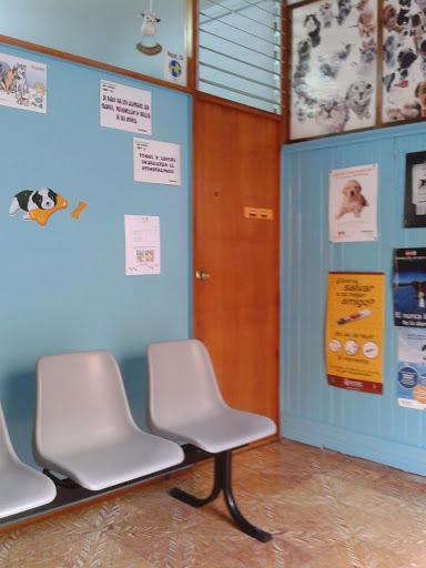 Consulta Veterinaria San Marcos en Las Palmas de Gran Canaria