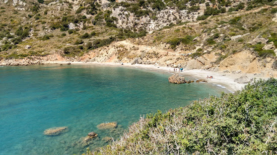 Nealia beach