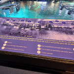 Photo n° 49 de l'avis de Vanessa.h fait le 31/08/2022 à 14:21 pour Nausicaa Centre National De La Mer à Boulogne-sur-Mer