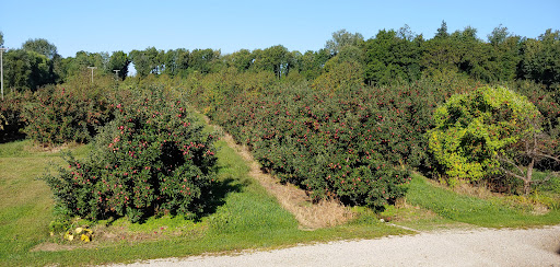 Wine Store «Mcintosh Cellars», reviews and photos, 6431 107th Ave, South Haven, MI 49090, USA