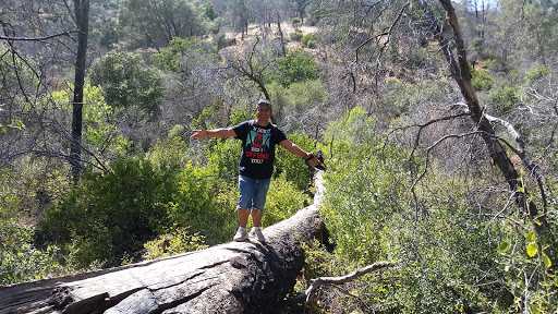 Nature Preserve «UC Davis - Stebbins Cold Canyon Natural Reserve», reviews and photos, CA-128, Winters, CA 95694, USA