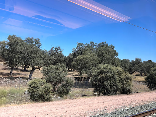 Puertollano Solar Thermal Power Plant