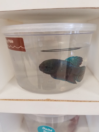 Pet Supply Store «Petco Animal Supplies», reviews and photos, 8644 E 96th St, Fishers, IN 46038, USA