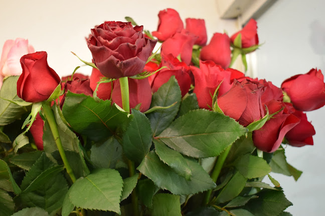 https://eflowers.gr/