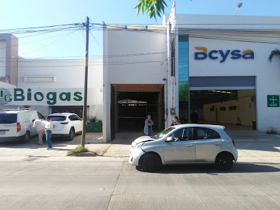 BCYSA Servicios Industriales S.A. de C.V.