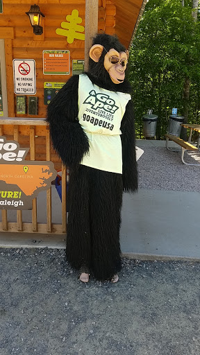 Recreation Center «Go Ape Zip Line & Treetop Adventure - Blue Jay Point County Park», reviews and photos, 3200 Pleasant Union Church Rd, Raleigh, NC 27614, USA