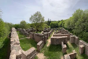 Ruins of the Pauline Monastery image