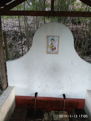 Loja Rofalcor-Corantes, Lda. Barosa