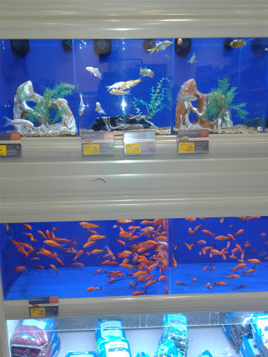 Pet Supply Store «PetSmart», reviews and photos, 14025 SW 88th St, Miami, FL 33186, USA