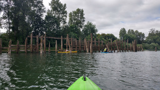 Tourist Attraction «Chehalem Paddle Launch», reviews and photos, 3100 SE 8th St, Dundee, OR 97115, USA