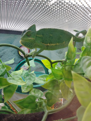 Pet Supply Store «Petco Animal Supplies», reviews and photos, 2095 N Harris Blvd, Layton, UT 84041, USA