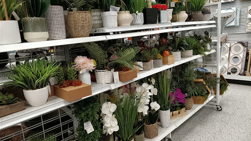 Clothing Store «Ross Dress for Less», reviews and photos, 3701 Truxel Rd, Sacramento, CA 95834, USA