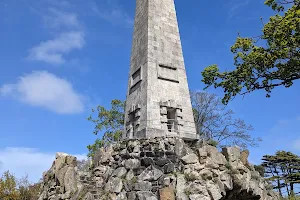 Stillorgan Obelisk image