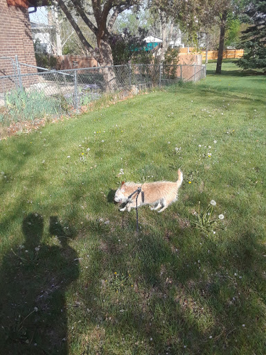 Park «Hilltop Park», reviews and photos, 3242 S Richfield St, Aurora, CO 80013, USA