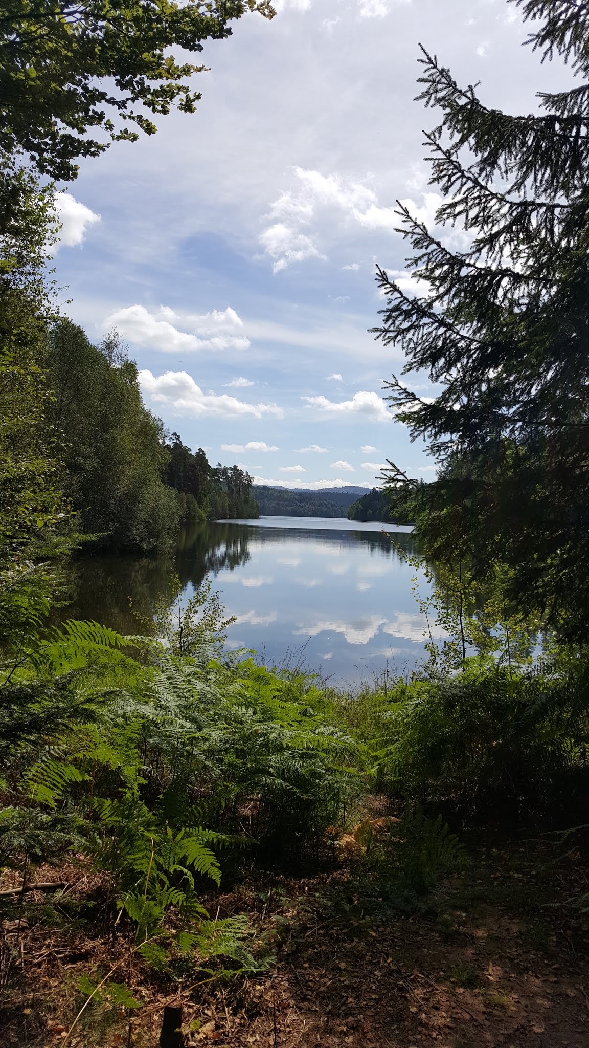 Photo n° 2 de l'avis de Jean-Paul.o fait le 22/08/2019 à 12:36