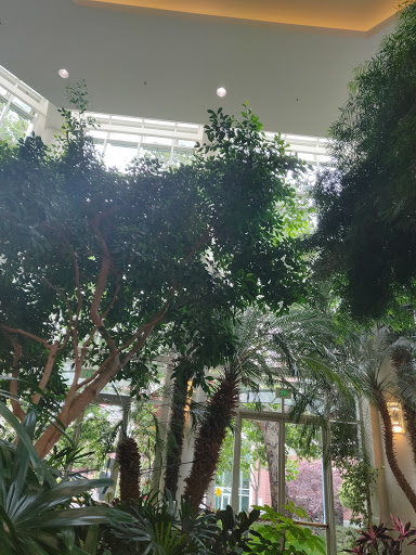 Polaris Cafe image