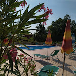 Photo n°1 de l'avis de Tiberio.r fait le 05/07/2021 à 06:49 sur le  Latteria dei Magredi à Vivaro