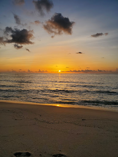 State Park «Hugh Taylor Birch State Park», reviews and photos, 3109 E Sunrise Blvd, Fort Lauderdale, FL 33304, USA