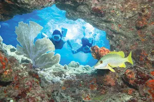 Fury Key West Snorkeling image