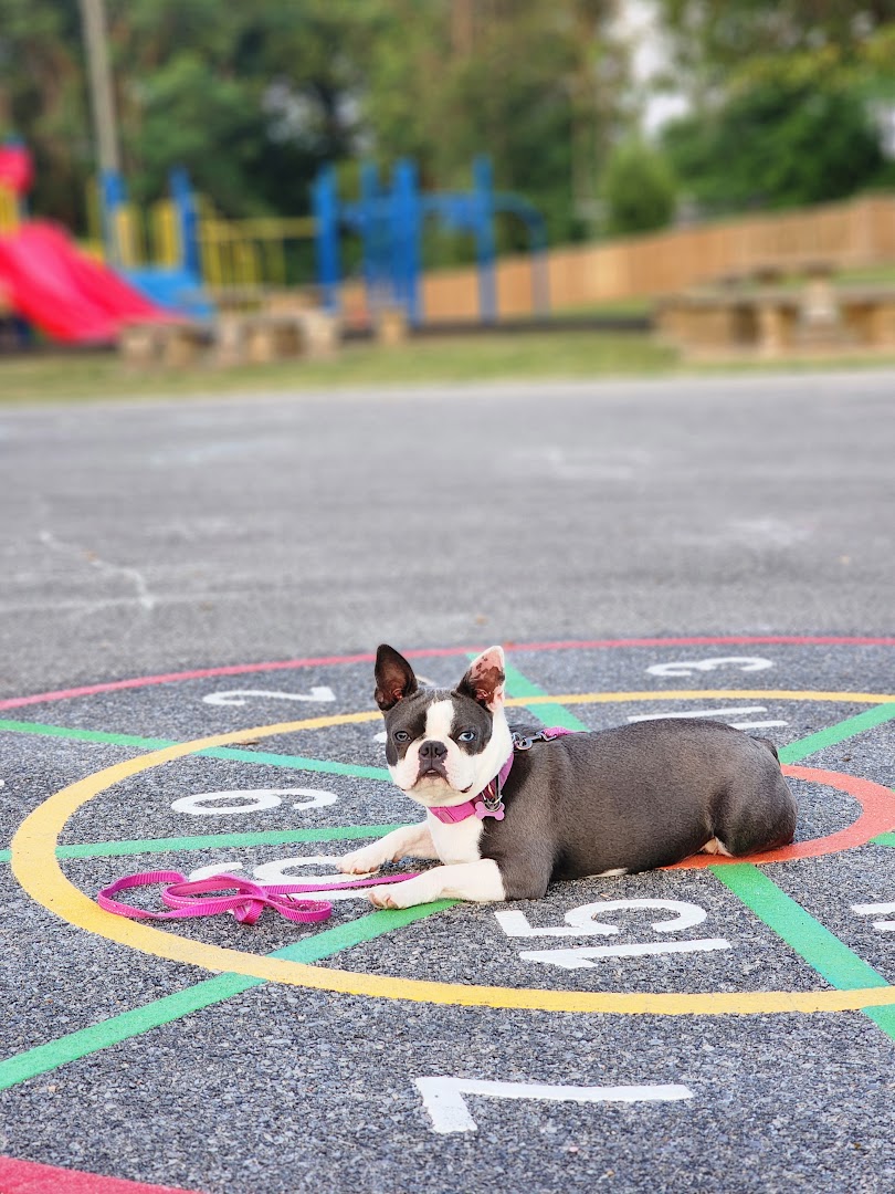 The Clever Canine Training Center