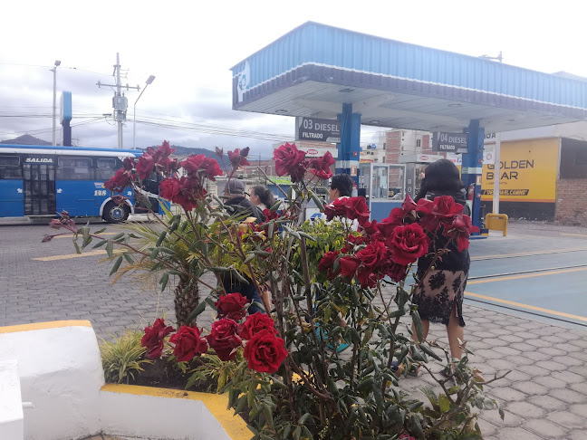 Opiniones de GASOLINERA LUZ IRENE - PETROECUADOR en Riobamba - Gasolinera