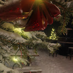 Photo n°6 de l'avis de Alessio.u fait le 04/01/2024 à 07:09 sur le  Punta Jolanda à Gressoney-La-Trinité