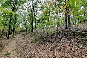 Flint Quarry Trail image