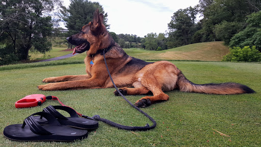 Country Club «Winchester Country Club», reviews and photos, 1300 Senseny Rd, Winchester, VA 22602, USA