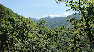 Forêt de Saou à Saou