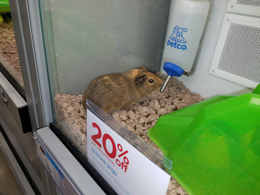 Pet Supply Store «Petco Animal Supplies», reviews and photos, 10225 Ocean Hwy #501, Pawleys Island, SC 29585, USA