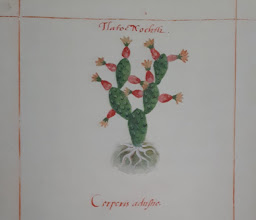 Centro De Tlalpan photo