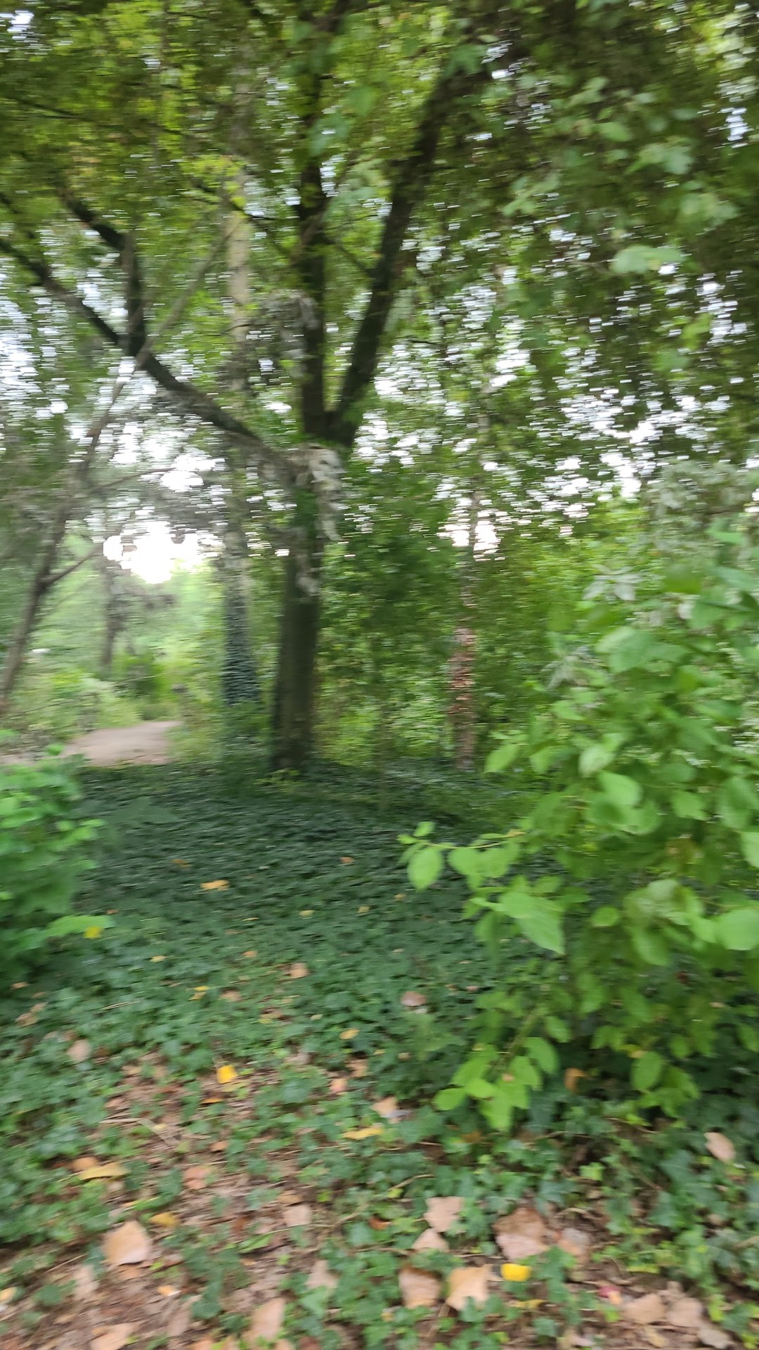 Photo n° 10 de l'avis de MUSTAFA.A fait le 12/09/2019 à 15:13